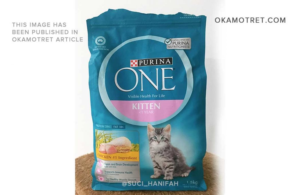 Review dry food Purina One kitten