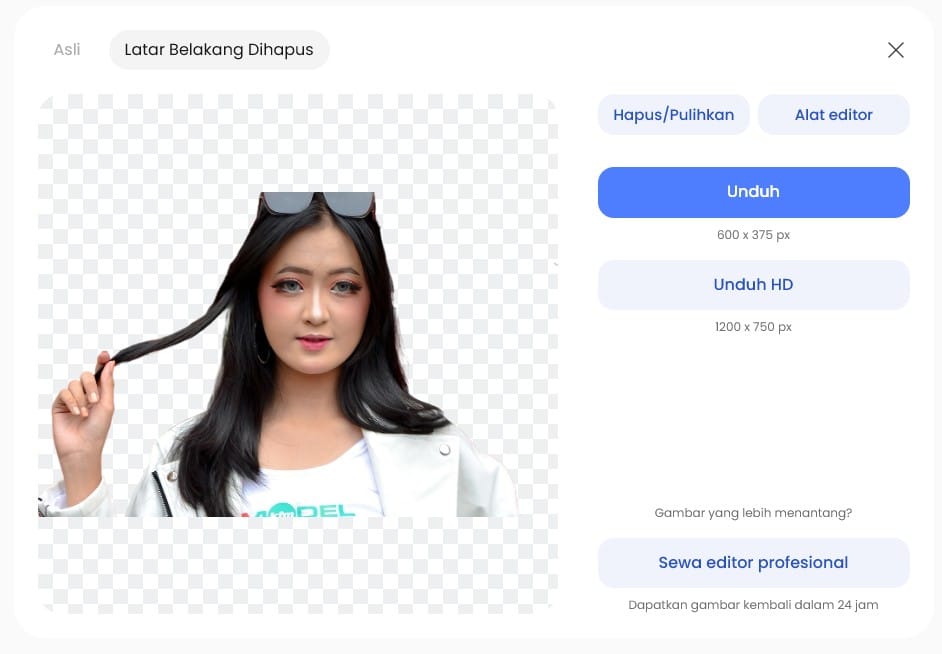 hapus latar foto remova ai